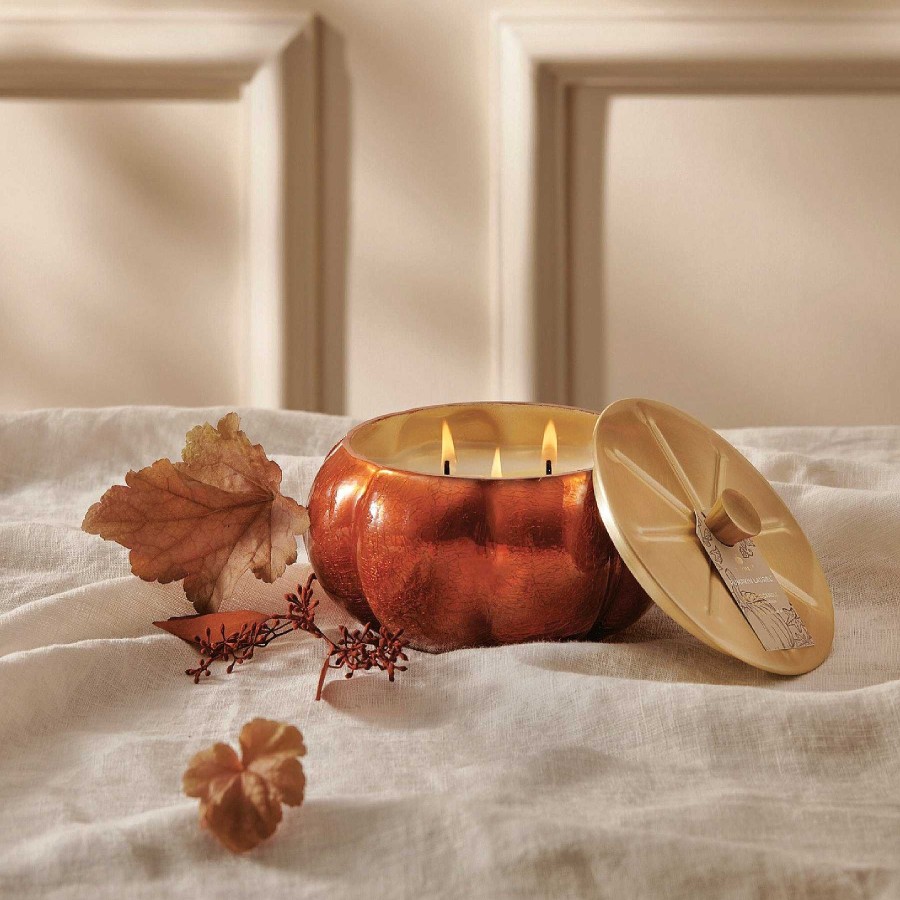 Home & Gifts Thymes | Thymes Pumpkin Laurel Statement Candle