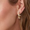 Jewelry Spartina 449 | Stand Out Midi Hoop Earrings